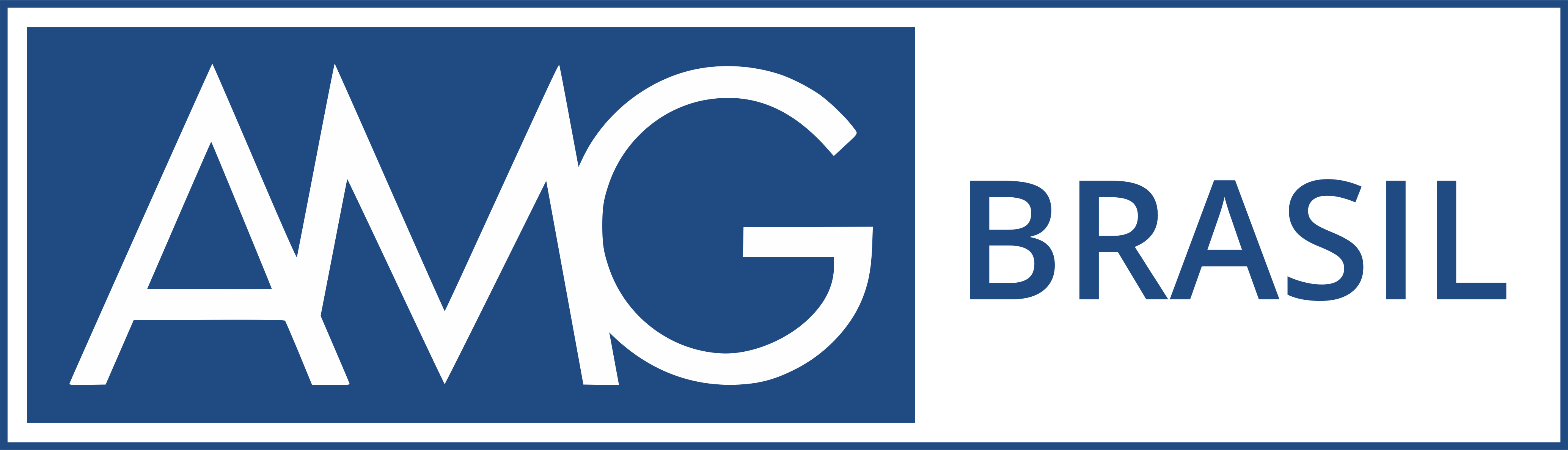 LOGO AZUL - AMG BRASIL